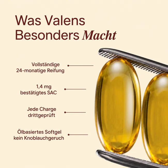 Gereifter Knoblauchextrakt
